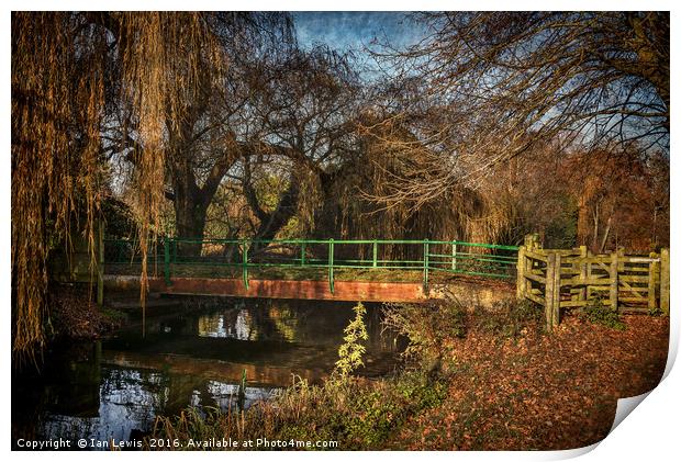 The River Pang At Tidmarsh Print by Ian Lewis