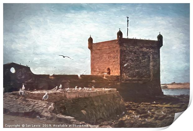 Gulls at Essaouira Citadel Morocco Print by Ian Lewis