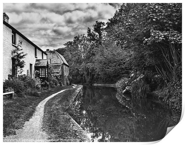 Canalside Cottages At Talybont Print by Ian Lewis