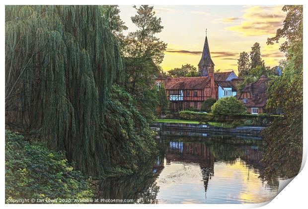 Thames Backwater at Whitchurch Print by Ian Lewis