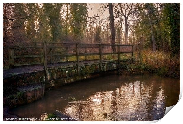 Woodland Bridge Over The River Pang Print by Ian Lewis