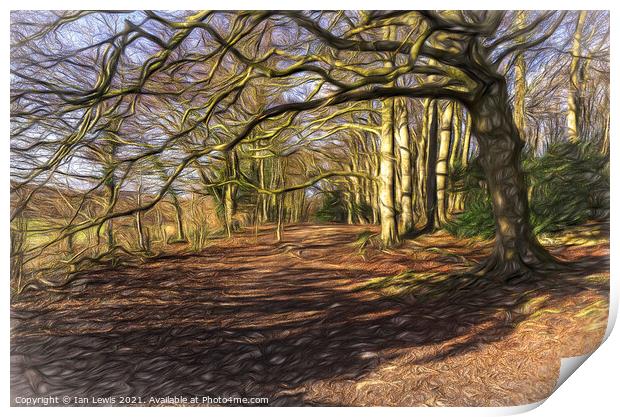 Sunny Winter Woodland  Digital Art Print by Ian Lewis