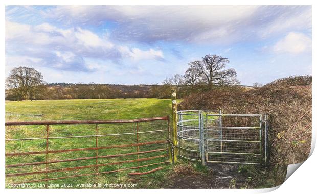 Gateway To The Meadow Print by Ian Lewis