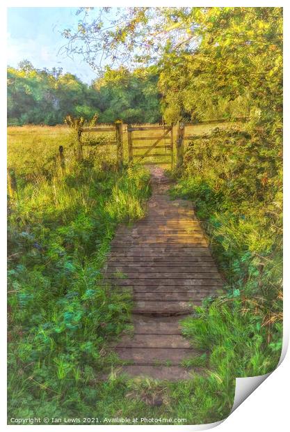 Meadow Gate Print by Ian Lewis