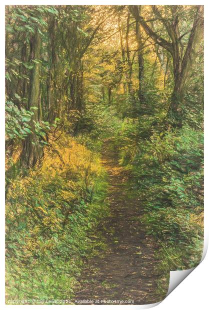 A Woodland Path Print by Ian Lewis