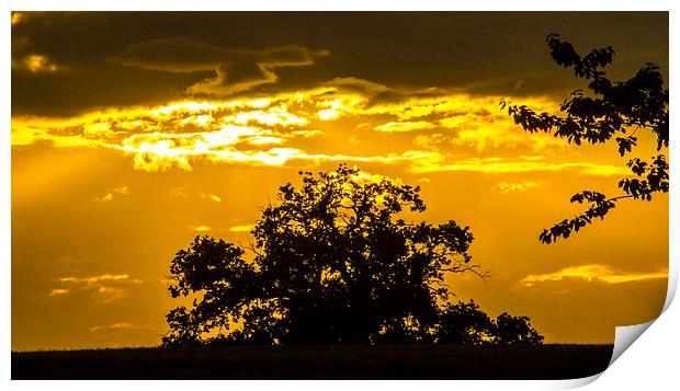  golden sky Print by keith sutton