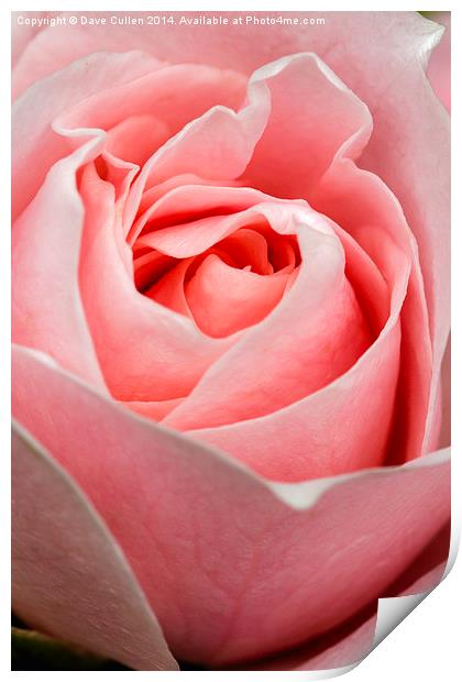 Folds of Beauty Print by Dave Cullen