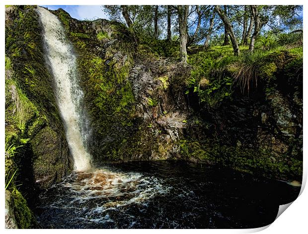 Linhope Spout waterfall Print by Paul Fisher