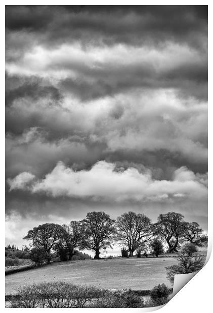 Cloudy Treeline Print by Andrew Richards