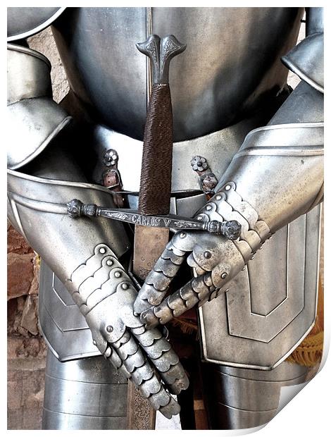 Knight In Shining Armour Print by Noreen Linale