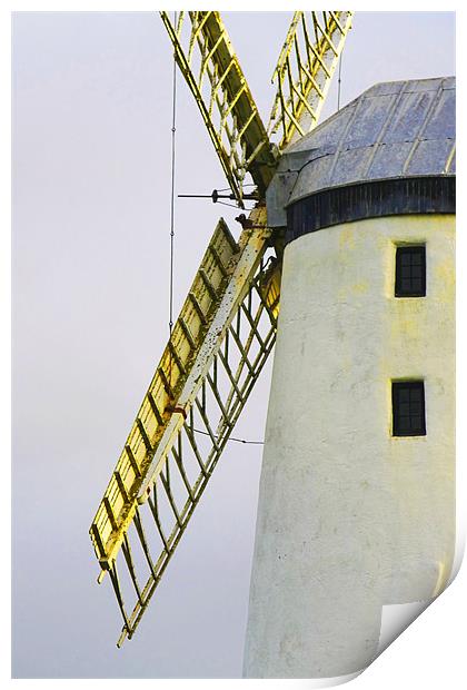 Windmills Of Your Mind II Print by Noreen Linale