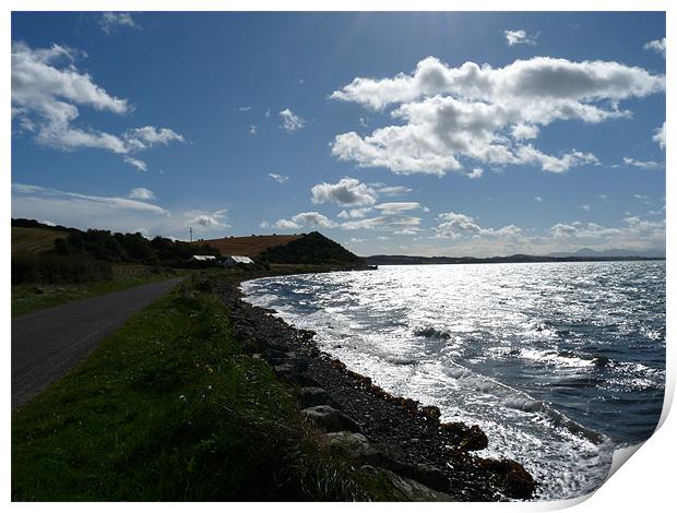 The Shore Road Print by Noreen Linale