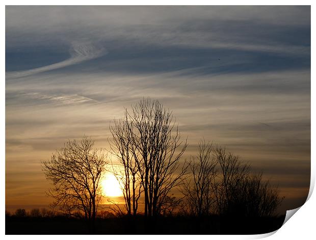 November Sunset Print by Noreen Linale