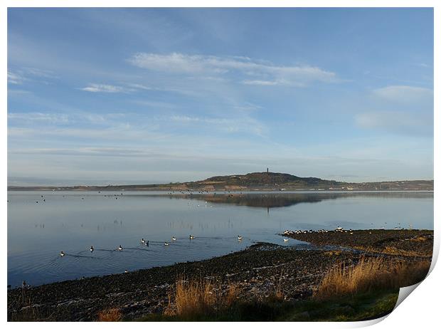 Scrabo Print by Noreen Linale