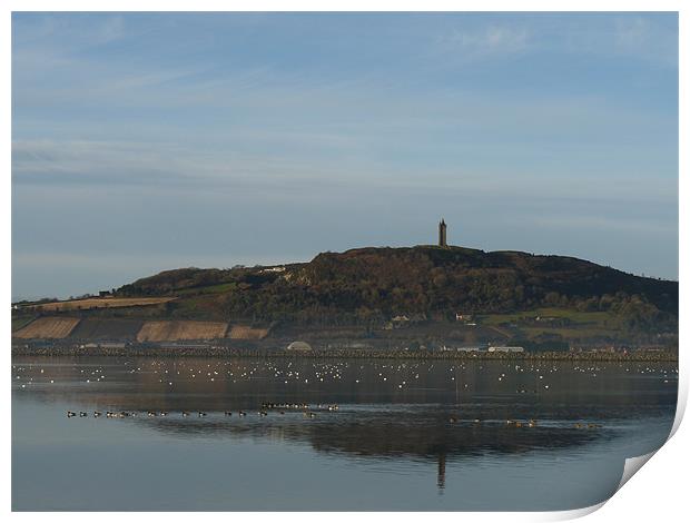 Scrabo Tower Print by Noreen Linale