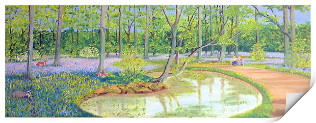 Tranquillity in Bluebell Woods Print by Roger Stevens