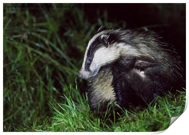 Badger 2 Print by Martin Kemp Wildlife