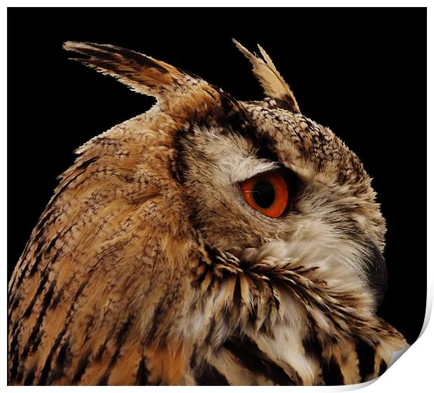 Proud Eagle Owl Print by carol mcrae