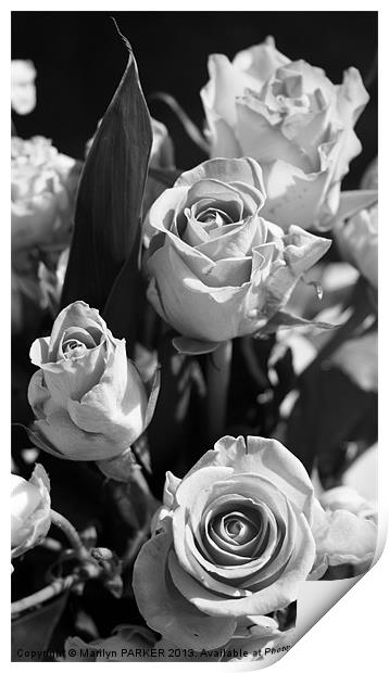 Black and white bouquet Print by Marilyn PARKER