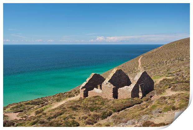 Cornwall sea and coast path Print by mark humpage