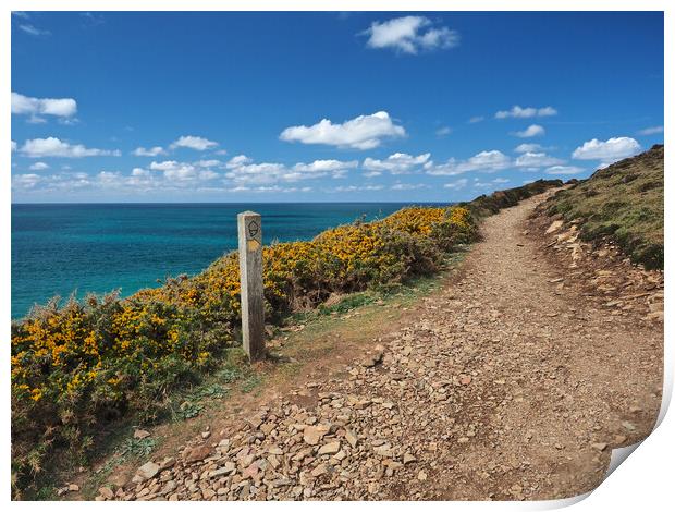 Cornwall sea and coast path Print by mark humpage