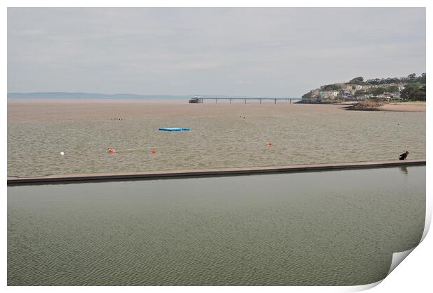 Clevedon Pier, Somerset overlooking Marine Lake Print by mark humpage