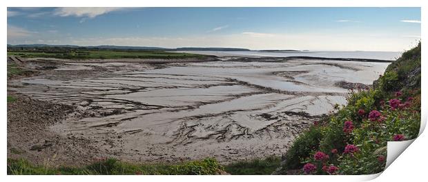 Clevedon coast at low tide looking from Poets Walk Print by mark humpage
