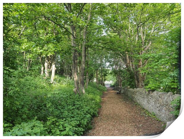 Tree lined path at St Andrews church, Clevedon Print by mark humpage