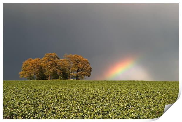 Storm Bow Print by mark humpage