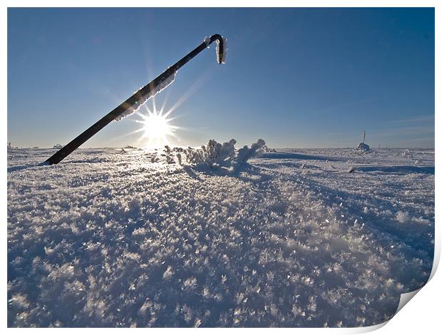 Sunrise Frozen Arctic Print by mark humpage