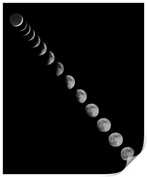 All Moon Phases Print by mark humpage