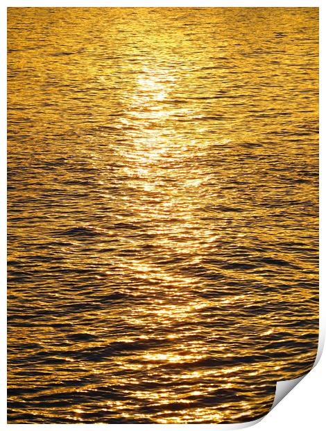Golden sunset reflections over water Print by mark humpage