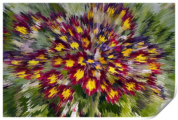 Abstract Primula Print by Bill Simpson