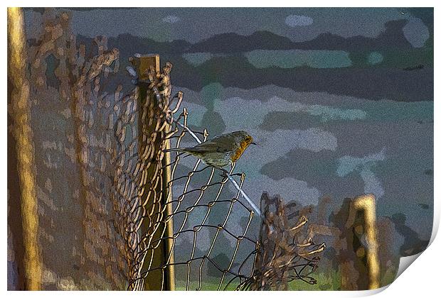 Robin on Wire Print by Bill Simpson