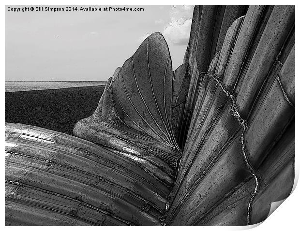 Aldeburgh's Scallop Shell B&W Close detail and pos Print by Bill Simpson