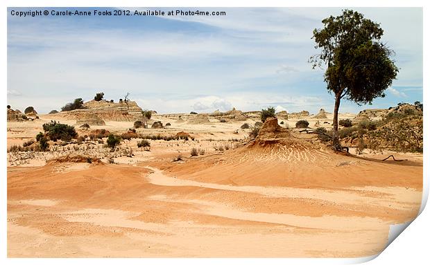 Pinnacles at Mungo by Day Print by Carole-Anne Fooks