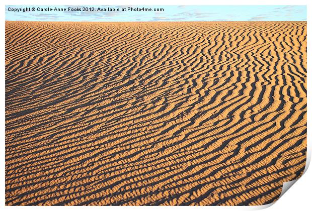 Dune detail just after Sunrise Print by Carole-Anne Fooks