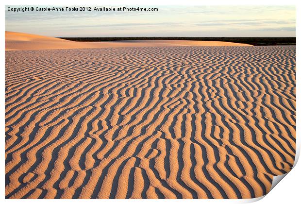 Dunes at Sunrise, Mungo Print by Carole-Anne Fooks
