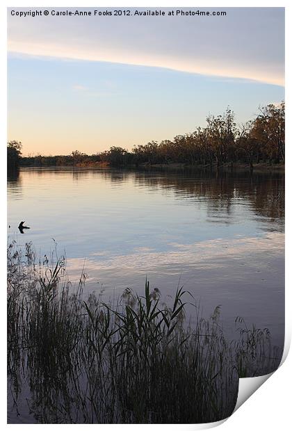 Murray River Sunset Series 1 Print by Carole-Anne Fooks