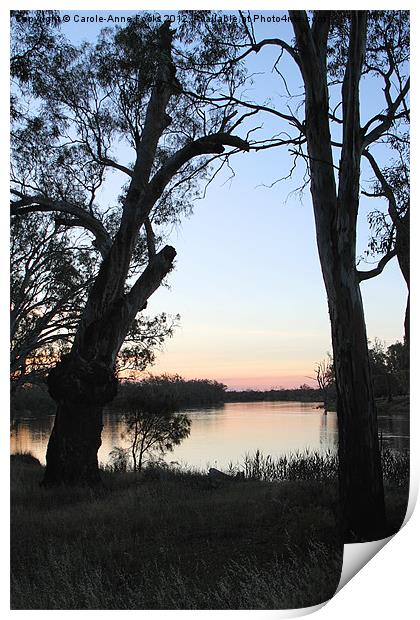 Murray River Sunset Series 2 Print by Carole-Anne Fooks