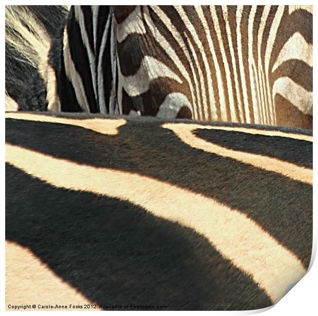 Abstract Zebra Print by Carole-Anne Fooks