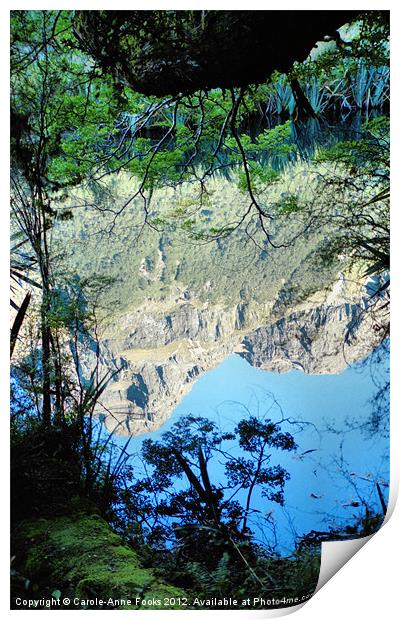 Mirror Lake Three New Zealand Print by Carole-Anne Fooks