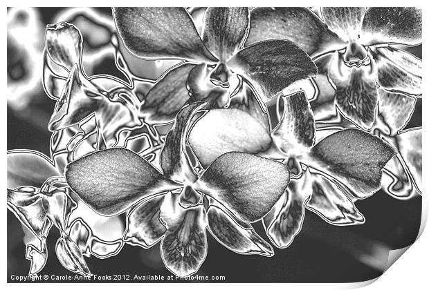 Metalised Orchid Flowers Print by Carole-Anne Fooks