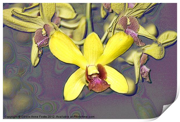 Orchids with Oil Slick Pattern Print by Carole-Anne Fooks