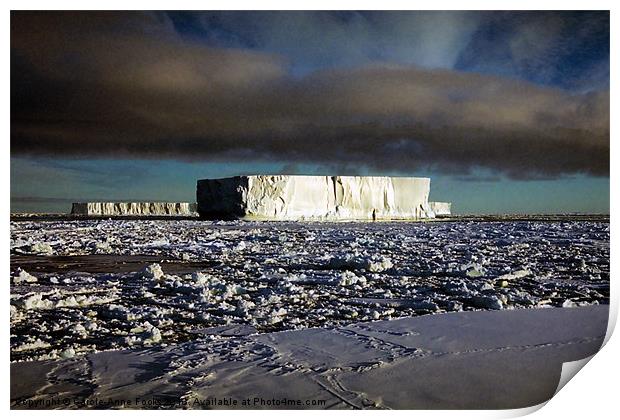 Icebergs Ross Sea Antarctica Print by Carole-Anne Fooks