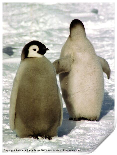 Emperor Penguin Chicks Antarctica Print by Carole-Anne Fooks
