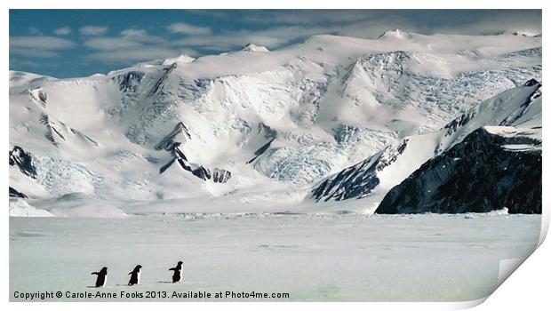 Cape Hallett Ross Sea Antarctica Print by Carole-Anne Fooks