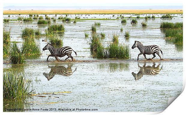 Zebra Crossing Kenya Print by Carole-Anne Fooks