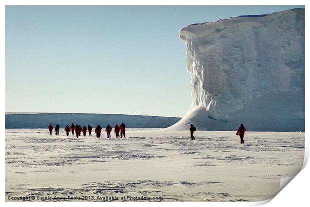 Trekking along the Drygalski Ice Tongue Print by Carole-Anne Fooks