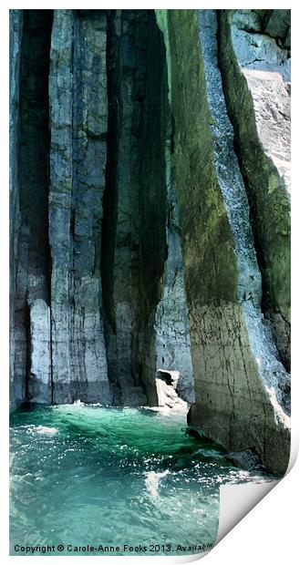 Caldey Island Cliffs Print by Carole-Anne Fooks